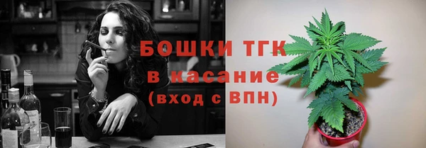 амф Арсеньев