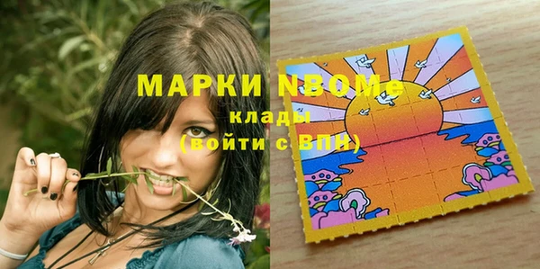 ешки Аркадак